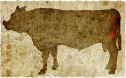 牛肉の部位（名称） 一覧リスト ハバキ || image