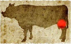 牛肉の部位（名称） 一覧リスト マル || image