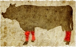 牛肉の部位（名称） 一覧リスト スネ || image